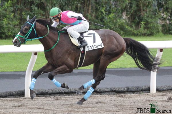 두라에레베. 사진제공 | JBIS