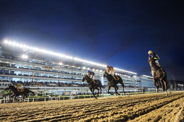 야간 경마 모습.