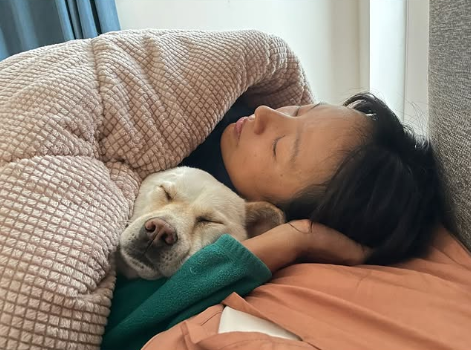 이효리 소셜 캡처