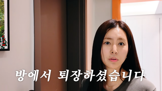 한채아 유튜브 채널 캡처