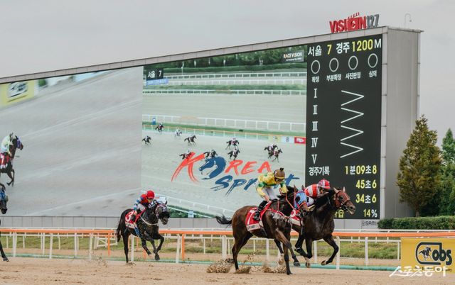 홍콩의&nbsp;‘셀프임프루브먼트’와 차우 기수(오른쪽 2번째)가 코리아스프린트에서 역주하고 있다.&nbsp;셀프임프루브먼트는 일본의 ‘치카파’를 간발의 차로 따돌리고 우승을 차지했다.&nbsp;사진제공 | 한국마사회