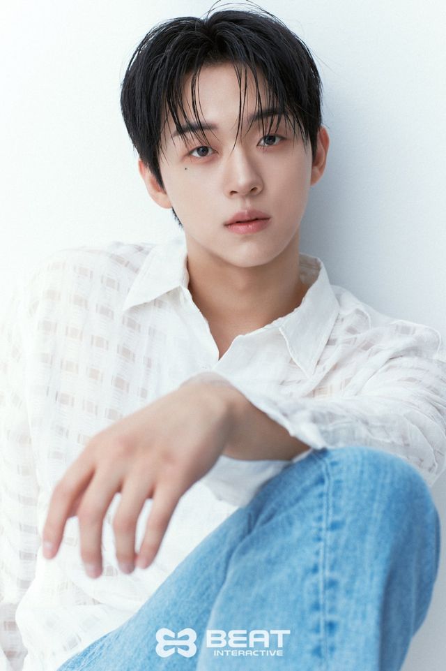 사진｜비트인터렉티브