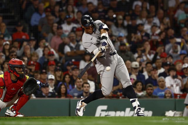 애런 저지. 사진=게티이미지코리아