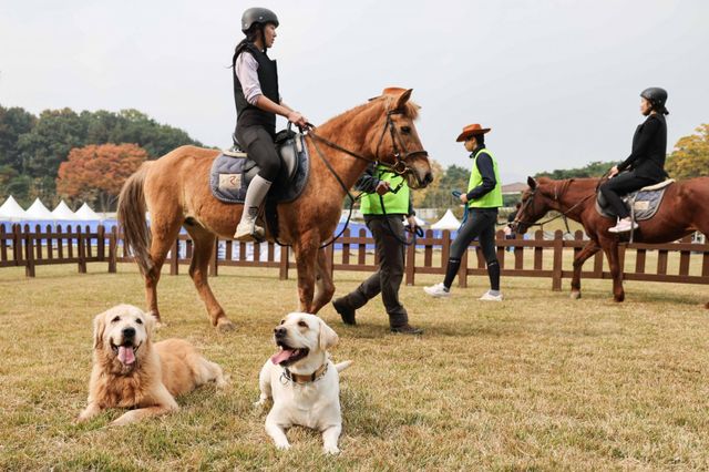 펫페어와 함께하는&nbsp;도심승마체험 모습. 사진제공 | 한국마사회