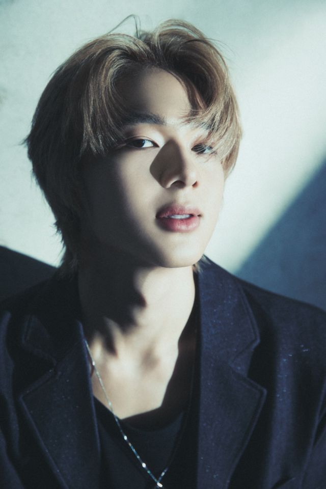 사진=DOMUNDI 제공