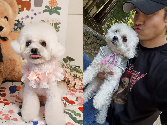 최강창민 소셜 캡처