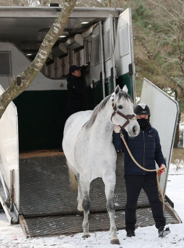 제주목장에 도착한 닉스고.