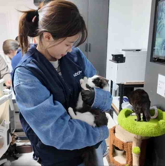 사진제공｜닥터독