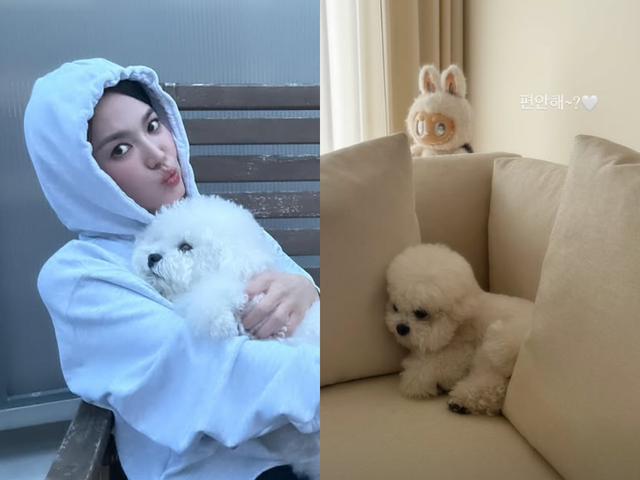 송혜교 SNS 캡처