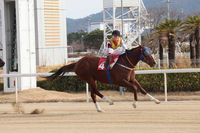 제20회 부산일보배에서 우승한 빈체로카발로와 조재로 기수.