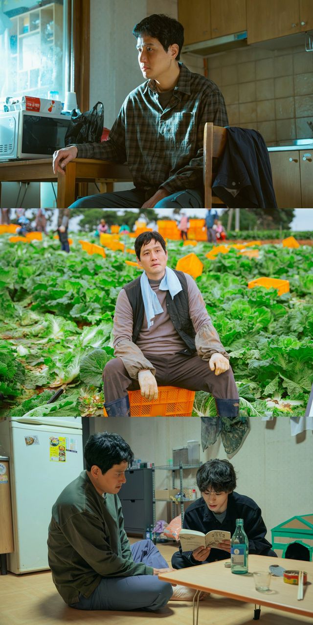 사진=스튜디오 피닉스·SLL·스튜디오 플로우