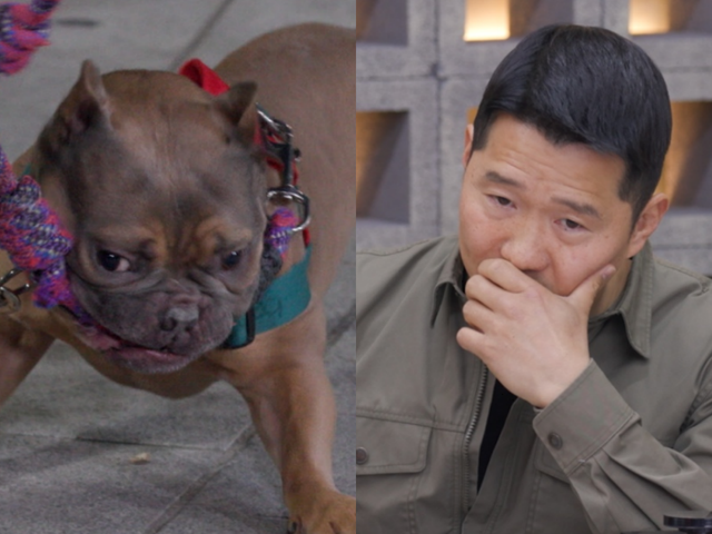 사진제공｜채널A