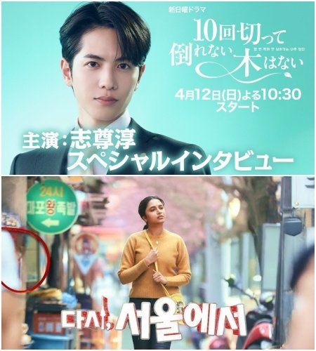 사진제공｜닛폰TV·넷플릭스