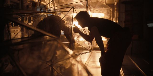 사진제공｜소니픽쳐스