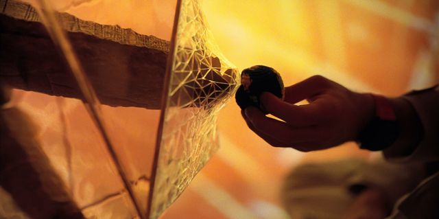 사진제공｜소니픽쳐스