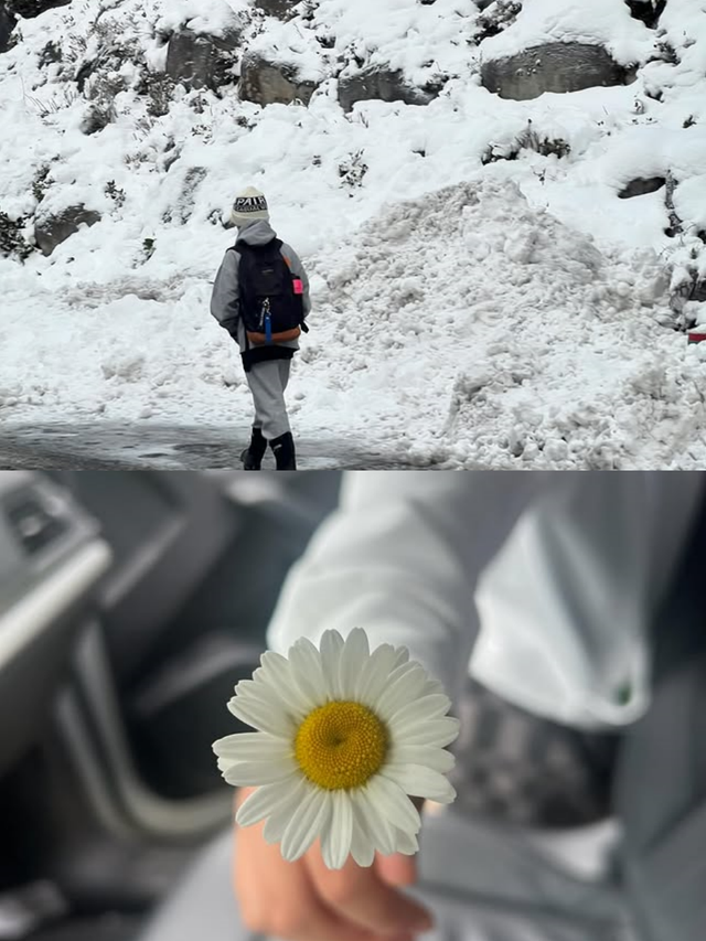 문정원 SNS 캡처