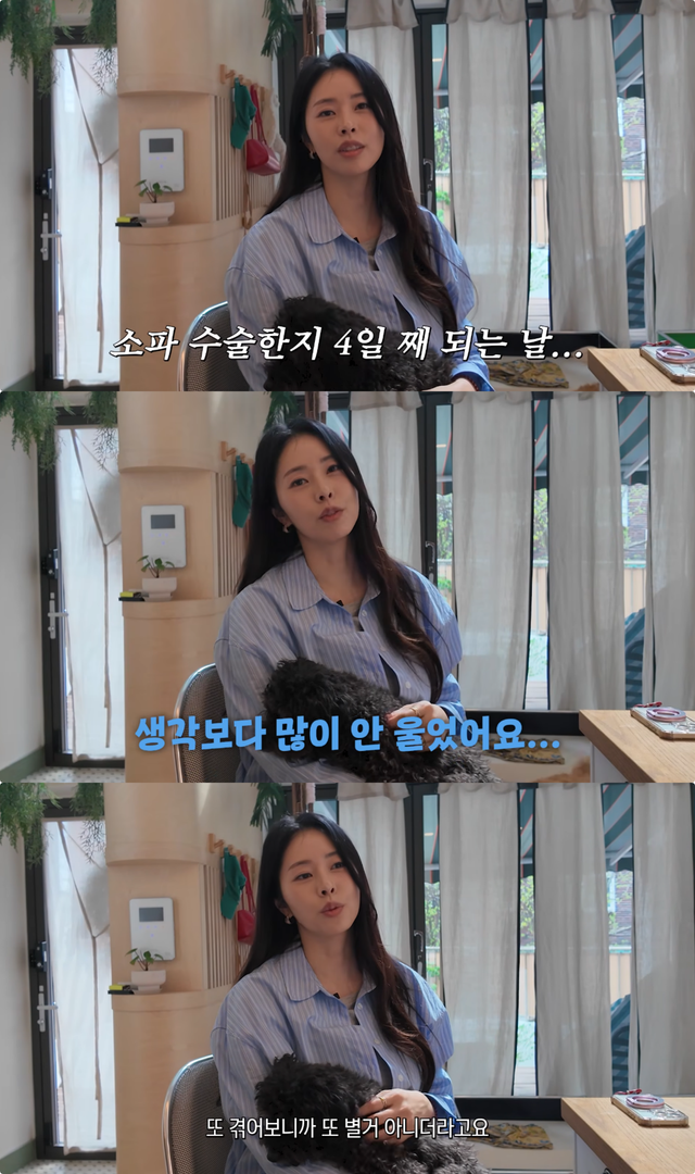 유튜브 채널 ‘서동주의 ‘또.도.동’’ 캡처