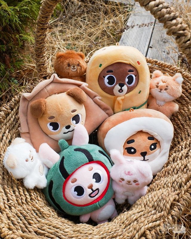 부산, 대전, 광주, 대구 등 지역별 특색을 반영한 데이식스의 공식 캐릭터 ‘데니멀즈’의 일명 ‘전국 팔도 버전’. 사진｜SNS 캡처&nbsp;