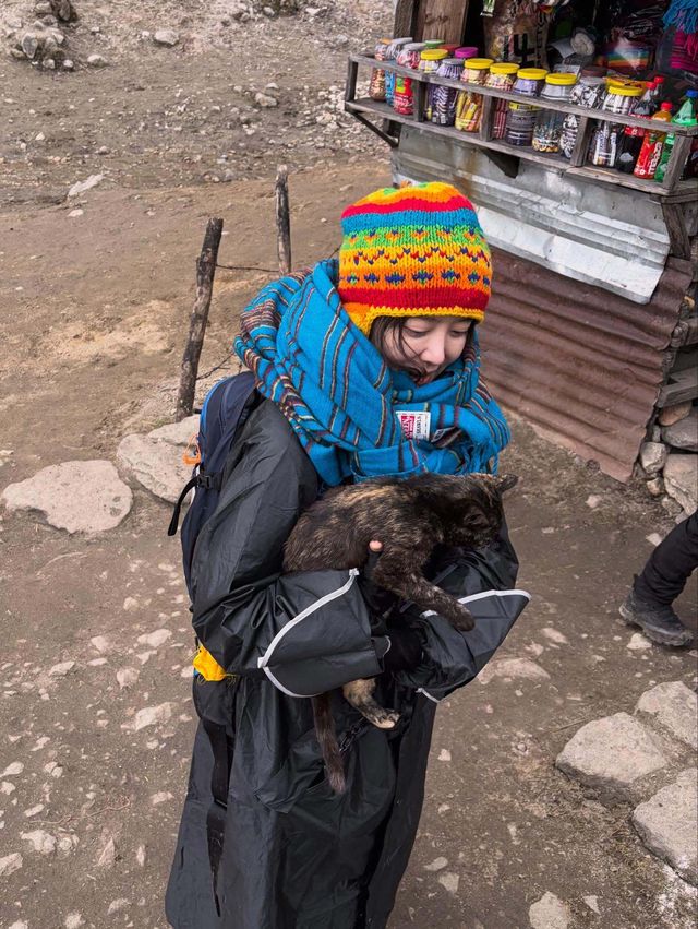 구혜선 SNS 캡처