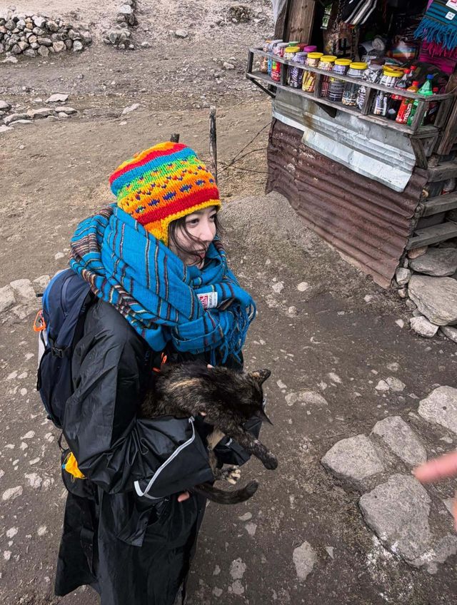 구혜선 SNS 캡처