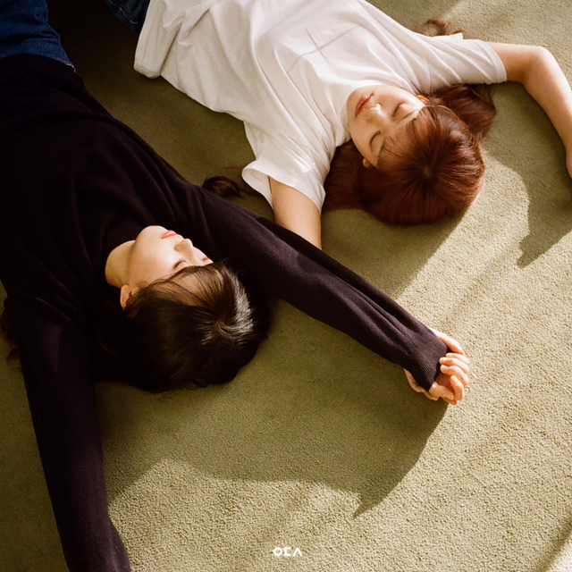 사진 : 에이치오이엔티