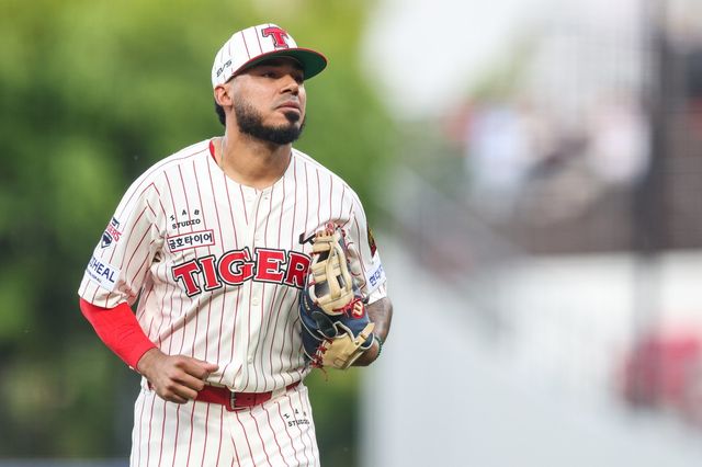 KIA가 왼쪽 햄스트링 부분 손상으로 6주 이탈한 해럴드 카스트로의 대체 외국인 타자를 찾는다. 사진제공｜KIA 타이거즈