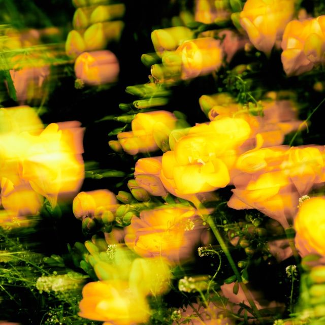 사진제공 | 오드엔터테인먼트