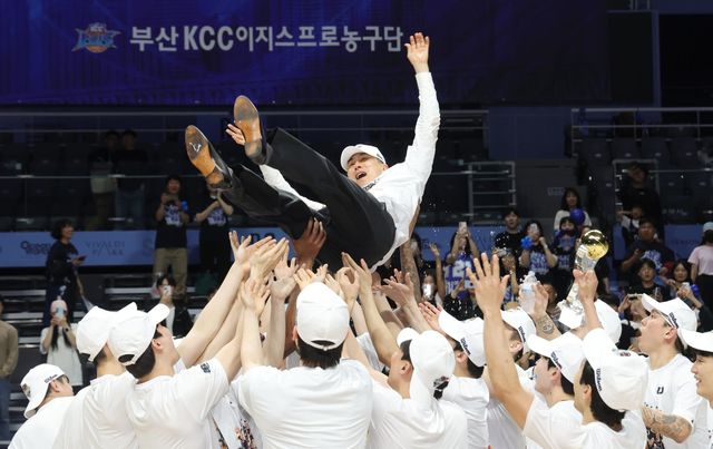 이상민 KCC 감독(가운데)이 13일 고양서 열린 소노와 챔피언 결정전 5차전서 우승을 확정한 뒤 선수단에게 헹가래를 받고 있다. 고양｜뉴시스