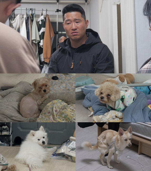 사진=채널A