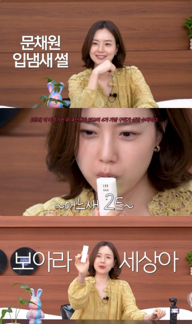 문채원 유튜브 채널 캡처