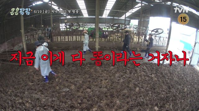 사진제공｜tvN