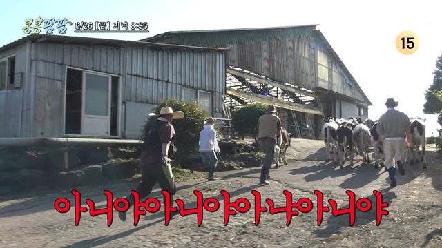 사진=tvN