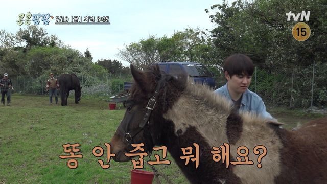 사진제공｜tvN