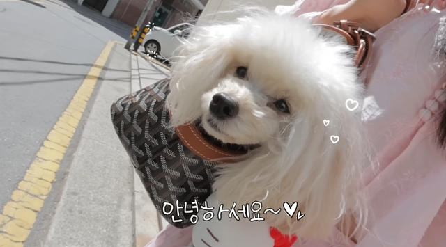 김사랑 유튜브 채널 캡처