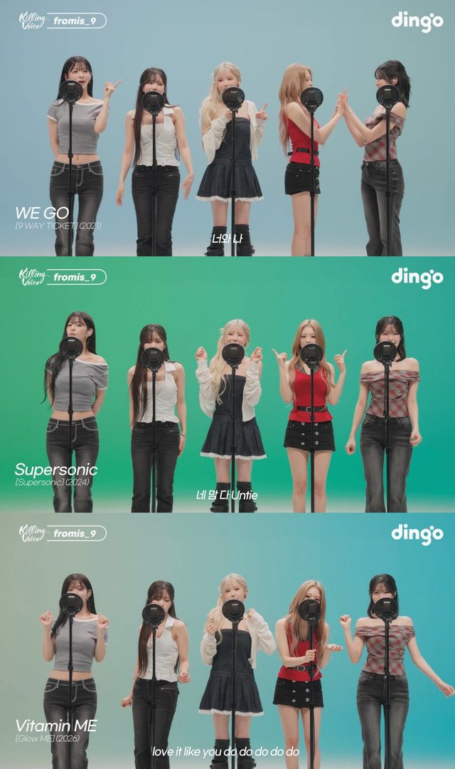 사진 제공 │딩고