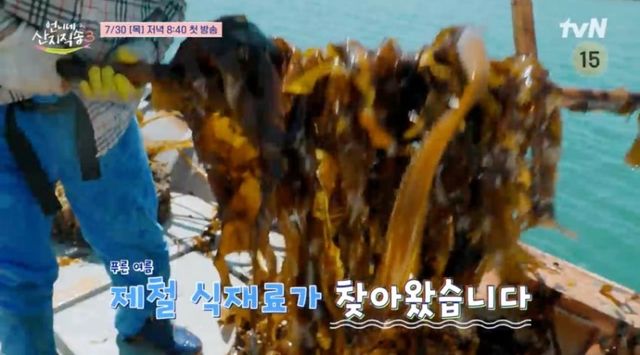 사진=tvN