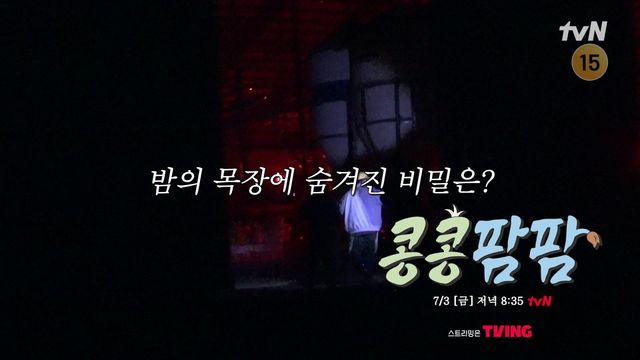 사진=tvN