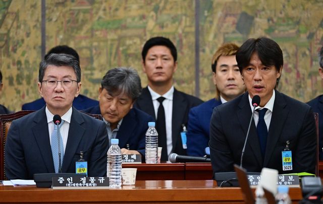 정몽규 전 대한축구협회장(왼쪽)과 홍명보 전 축구국가대표팀 감독이 30일 국회 본관에서 열린 청문회에 증인으로 출석해 의원들의 질문에 답하고 있다. 뉴시스