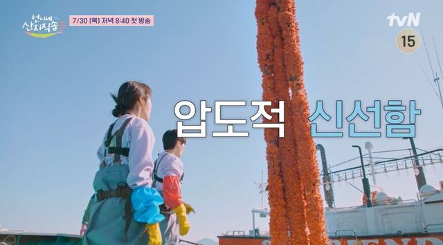 사진=tvN