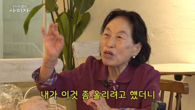 사미자 유튜브 채널 캡처