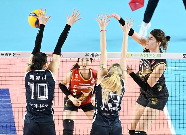 7일 오후 김천실내체육관에서 열린 도드람 2024-2025 V-리그 여자부 3라운드 한국도로공사와 정관장의 경기, 정관장이 반야 부키리치의 활약에 힘입어 세트스코어 3:1(25-22 25-27 25-19 25-20)로 승리했다. 정관장 부키리치가 공격을 시도하고 있다. KOVO