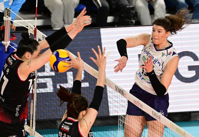여자프로배구 한국도로공사의 부키리치가 공격하고 있다. KOVO 제공