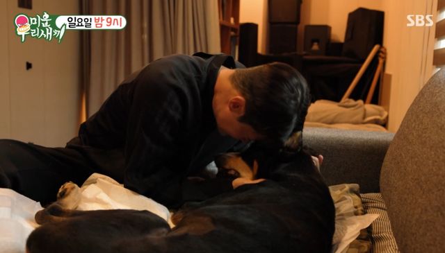 SBS '미운 우리 새끼'
