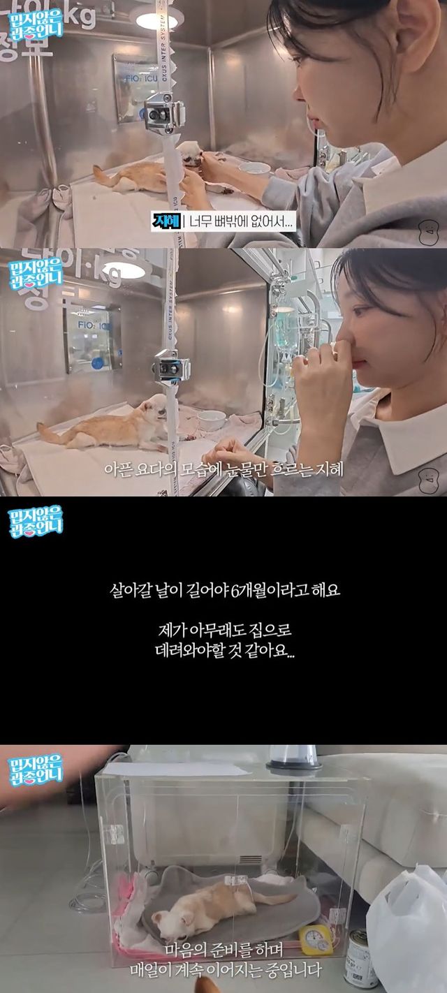 사진=유튜브 채널 '밉지않은 관종언니' 영상 캡처