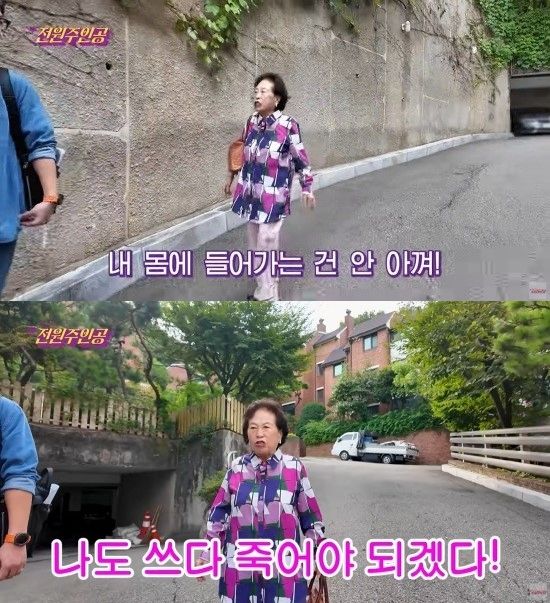 '전원주인공' 영상 캡처