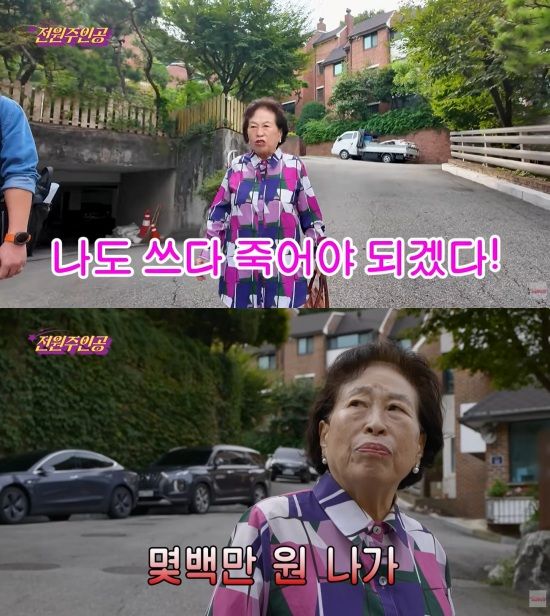 '전원주인공' 유튜브 캡처