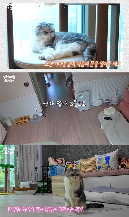 사진= 유튜브 채널 '김정난' 영상 캡처