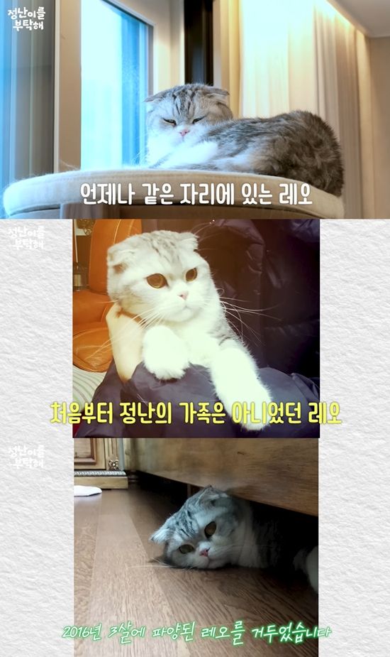 사진= 유튜브 채널 '김정난' 영상 캡처