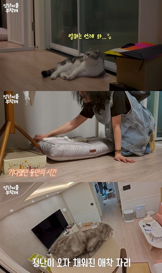 사진= 유튜브 채널 '김정난' 영상 캡처