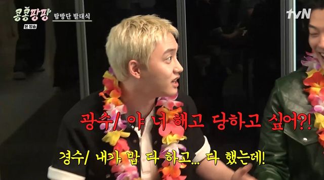 tvN '콩콩팡팡' 캡처